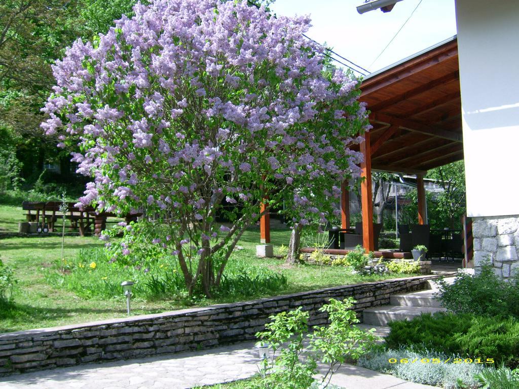 Vila Vuk Plitvička Jezera Exteriör bild